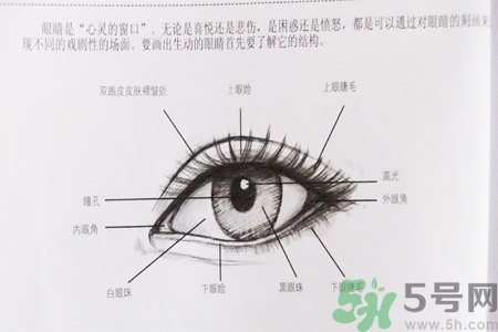 白內(nèi)障的發(fā)病因素是什么？白內(nèi)障并發(fā)癥有哪些？