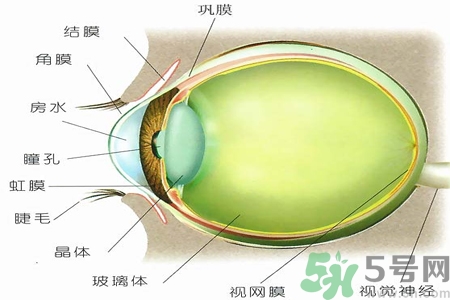 青光眼的治療方法有哪些？青光眼可以哪些藥物治療？