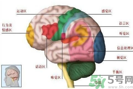 腦出血的發(fā)病因素是什么？腦出血的并發(fā)癥有哪些？