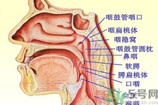 鼻咽癌的日常措施是什么？鼻咽癌注意的飲食有哪些？