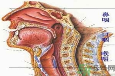 鼻咽癌的治療方法是什么？鼻咽癌可以用什么藥物治療？