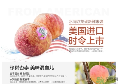 恐龍蛋水果孕婦可以吃嗎？恐龍蛋的禁忌