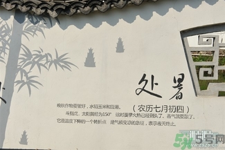 處暑吃什么水果？處暑養(yǎng)生水果推薦