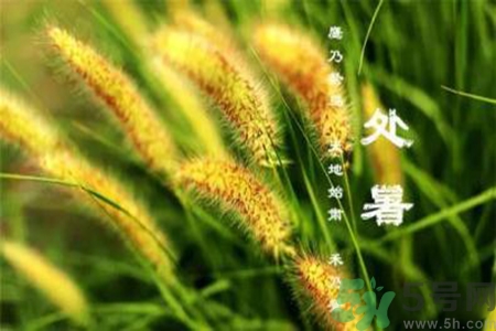處暑出生的人怎么取名？處暑出生的人的命運(yùn)？