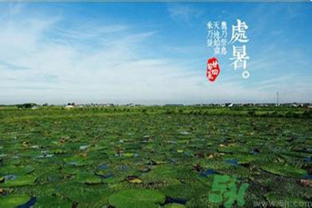 處暑出生的人怎么取名？處暑出生的人的命運？