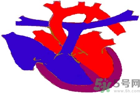 如何預(yù)防心臟?。啃呐K病的禁忌癥有哪些？