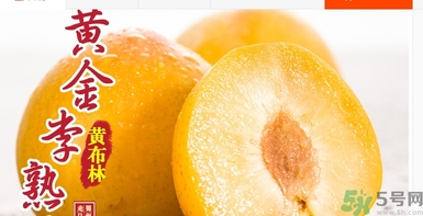 恐龍蛋水果怎么吃？恐龍蛋水果皮能吃嗎？