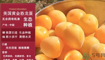 恐龍蛋水果怎么吃？恐龍蛋水果皮能吃嗎？
