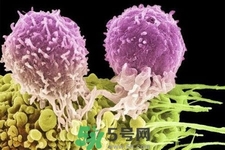 不宜過多食用辣椒的人群有哪些？夏天吃辣椒的好處有哪些？