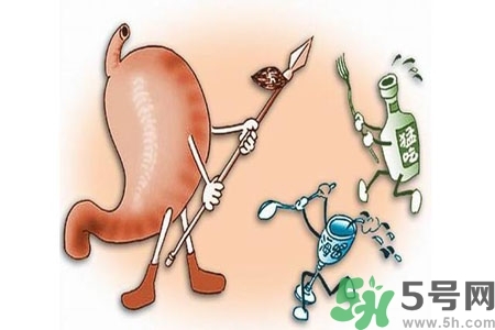 哪些食物幫你在酒后保養(yǎng)胃部？養(yǎng)胃護(hù)胃的誤區(qū)是什么？