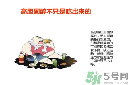 高膽固醇會(huì)影響胖瘦嗎？高膽固醇和胖瘦有關(guān)系嗎？