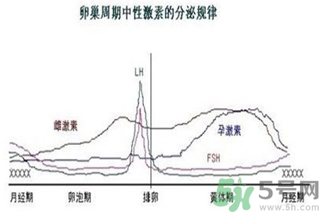 如何分清常見(jiàn)的激素藥？如何正確使用激素類(lèi)藥物？