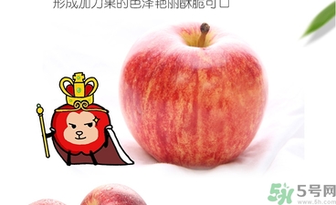姬娜果是什么？姬娜果的功效作用