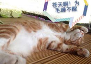 秋乏是什么原因？秋乏怎么辦？