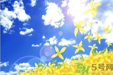 如何應(yīng)對(duì)秋老虎？秋老虎如何養(yǎng)生？