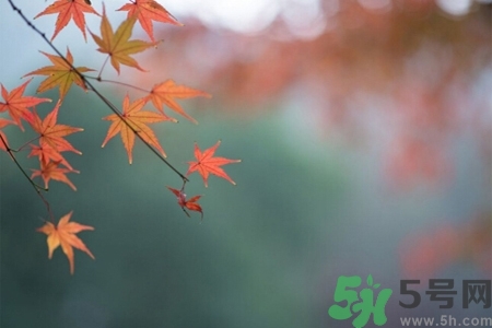 秋老虎如何謹防皮膚病？秋老虎如何預防皮膚病？