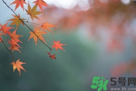 秋天換季病有哪些？秋天該如何保健養(yǎng)生呢？