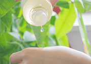 春雨水乳適合人群 春雨水乳孕婦可以用嗎？