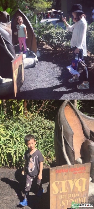 王寶強(qiáng)老婆馬蓉在美國嗎？婚姻中攜款逃跑受什么處罰？