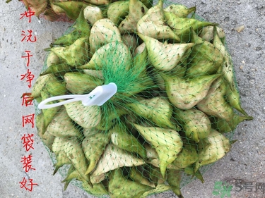 菱角和豬肉能一起吃嗎？菱角和什么不能一起吃？