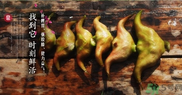 菱角和豬肉能一起吃嗎？菱角和什么不能一起吃？