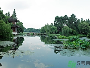 菱角是什么？菱角是什么季節(jié)成熟的？