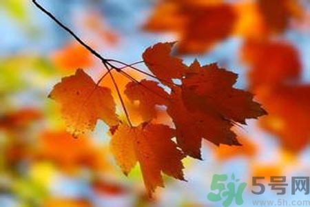 女性秋季防燥需注意哪些？女性秋季防燥吃什么？