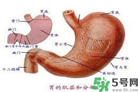 急性腸胃炎哪些食物不可以吃？急性腸胃炎不能吃的水果有？
