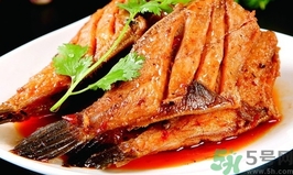剝皮魚(yú)的營(yíng)養(yǎng)價(jià)值 剝皮魚(yú)的功效與作用