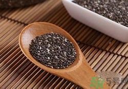 奇亞籽是什么？奇亞籽的功效作用