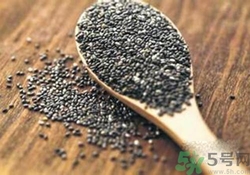 奇亞籽是什么？奇亞籽的功效作用