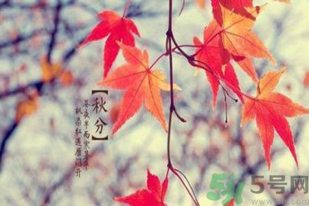 秋燥是什么？秋燥怎么辦？
