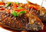 比目魚的營(yíng)養(yǎng)價(jià)值 比目魚的功效與作用及食用方法