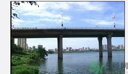 從多高的地方跳水會受傷？從多高的地方跳水會死亡？