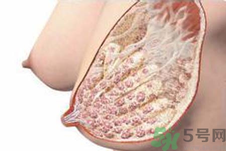 乳腺增生可以懷孕嗎？如何預(yù)防乳腺增生？