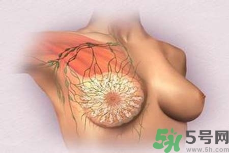 乳頭發(fā)黑怎么辦？怎么樣可以使乳頭變白？