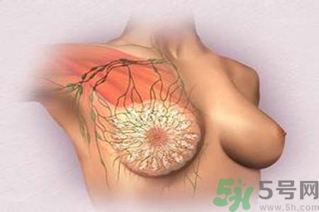 乳頭發(fā)黑是怎么回事？乳頭發(fā)黑是什么原因？
