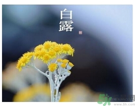 白露身不露是什么意思？白露還熱嗎？