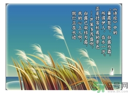 白露茶是什么茶？白露為什么要喝白露茶？