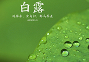白露喝什么茶？白露養(yǎng)生茶飲推薦