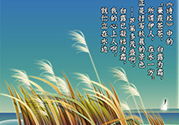 白露是什么意思？白露是幾月幾日