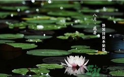 處暑如何養(yǎng)生？處暑養(yǎng)生要注意什么？