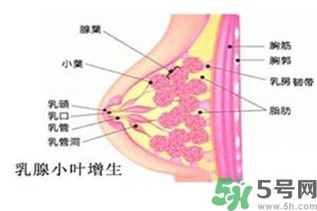 乳房上有硬塊怎么辦？乳房有硬塊的病因是什么？