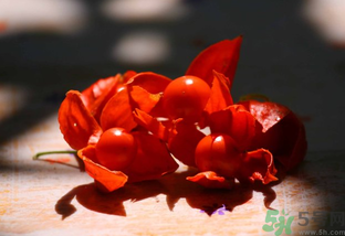 紅姑娘怎么吃？紅姑娘怎么保存？