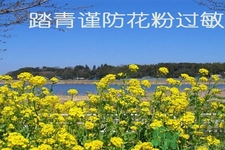 花粉過(guò)敏的表現(xiàn)是什么？如何有效的預(yù)防花粉過(guò)敏？