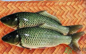 魚皮的營養(yǎng)價(jià)值 魚皮的食用功效