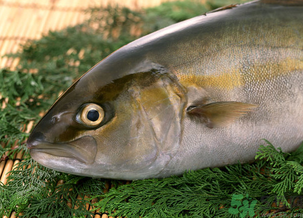 魚眼睛可以吃嗎？吃魚眼睛有什么好處？