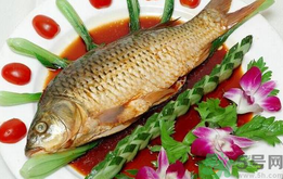 吃魚眼睛對眼睛有好處嗎？吃什么魚對眼睛好？