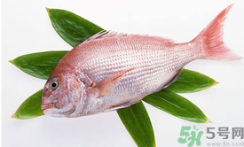 吃魚眼睛對眼睛有好處嗎？吃什么魚對眼睛好？