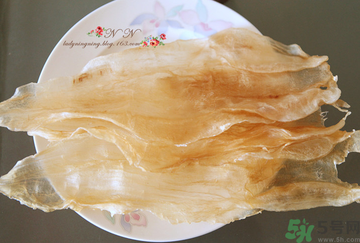 魚膠是什么？魚膠的功效與作用？